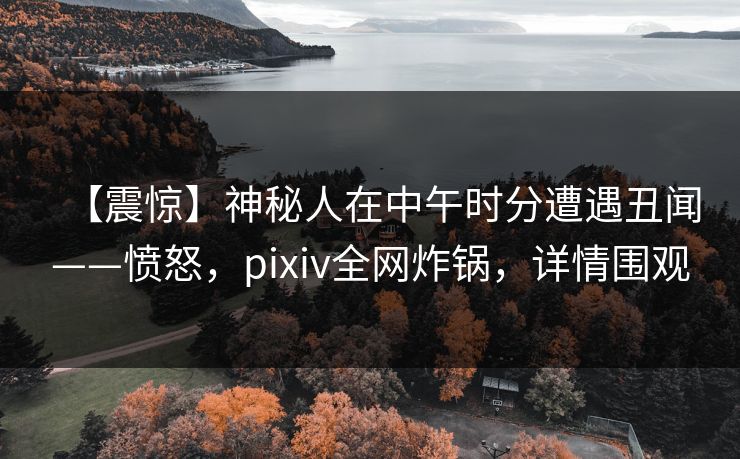 【震惊】神秘人在中午时分遭遇丑闻——愤怒，pixiv全网炸锅，详情围观