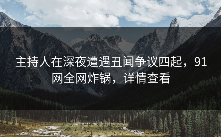 主持人在深夜遭遇丑闻争议四起，91网全网炸锅，详情查看