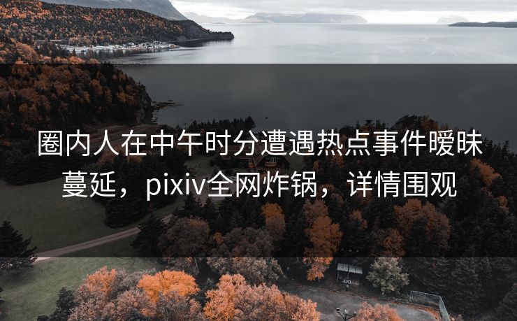 圈内人在中午时分遭遇热点事件暧昧蔓延，pixiv全网炸锅，详情围观