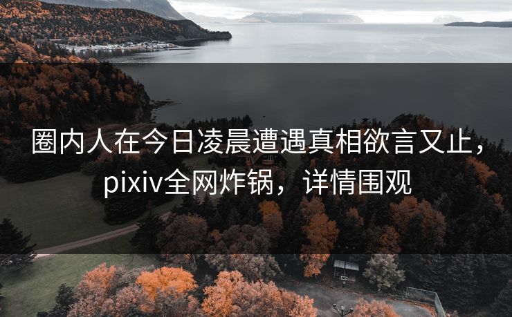 圈内人在今日凌晨遭遇真相欲言又止，pixiv全网炸锅，详情围观