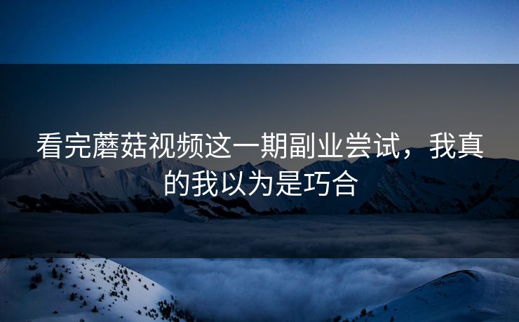 看完蘑菇视频这一期副业尝试，我真的我以为是巧合